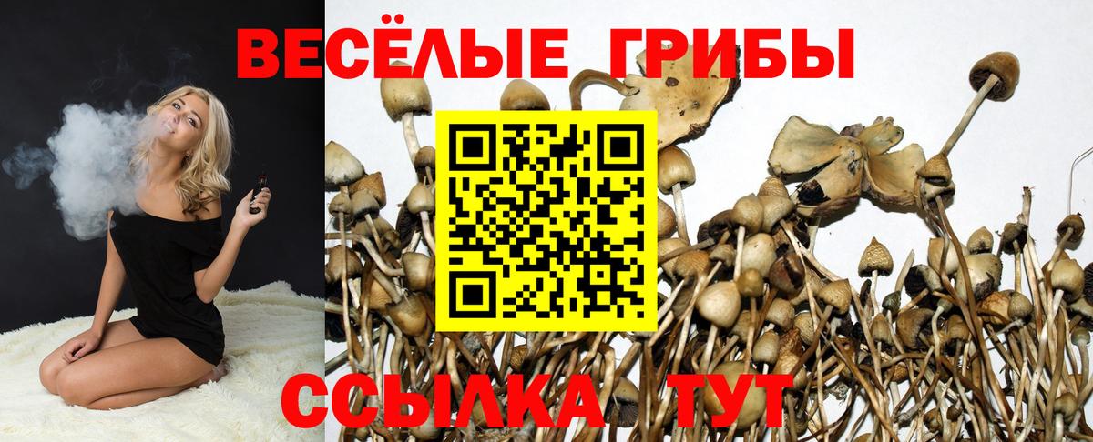 Галлюциногенные грибы GOLDEN TEACHER  Галлюциногенные грибы GOLDEN TEACHER  Минусинск  Вход с VPN 
